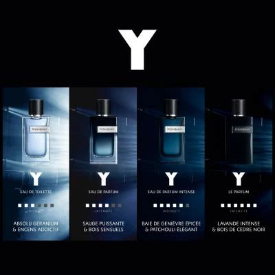 yves saint laurent solde